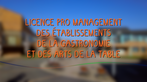 La licence professionnelle Management des Etablissements de la Gastronomie et des Arts de la table (MEGAT)
