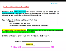 Cours BCM-traduction-Section B.mp4