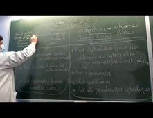 Cours Endomembrane section A.mp4