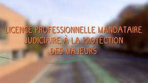 La licence professionnelle Mandataire Judiciaire à la Protection des Majeurs (MJPM)