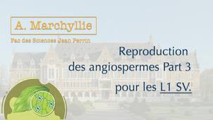 A. Marchyllie - L1 SV - Reproduction des angiospermes - Part 3