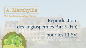 A. Marchyllie - L1 SV - Reproduction des Angiospermes - Part 5 (fin)