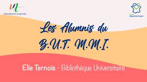 Les Alumnis du B.U.T. Métiers du Multimédia et de l'Internet (M.M.I) : Elie - Bibliothèque Universitaire d'Arras