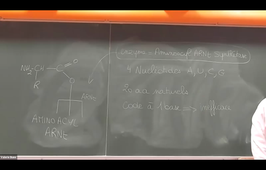 Cours_BCM_La traduction_Section A.mp4