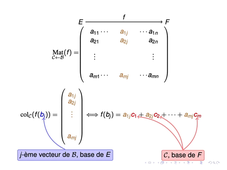 B. Calmès - L1 Math-Info - Algèbre linéaire - Changements de bases