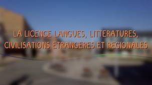 La licence de Langues, Littératures et Civilisations Étrangères et Régionales (LLCER)