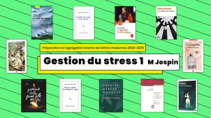 Agreg_2024_Gestion_du_stress