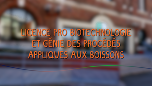 La licence professionnelle Biotechnologies et Génie des procédés appliqués aux Boissons