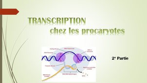 BMP cours du mardi 17 novembre .mp4