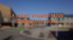 La licence d'Administration Economique et Sociale (AES)