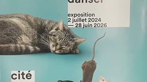 Exposition Danser à la Cité des sciences