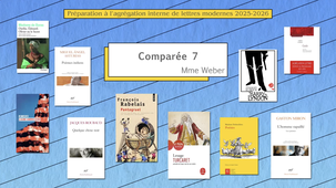 Agreg_2025_Comparée_7