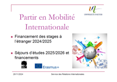 Webinaire Semaine de la Mobilité Internationale 28/11/2024