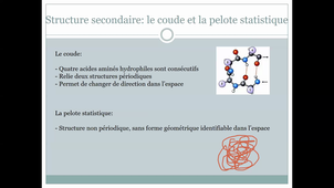 Cours 4 UE Bio (26 01 21).mp4